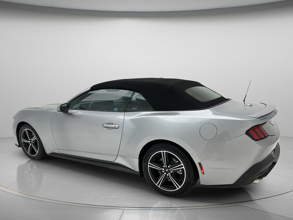 Used 2025 Ford Mustang Premium RWD image 6