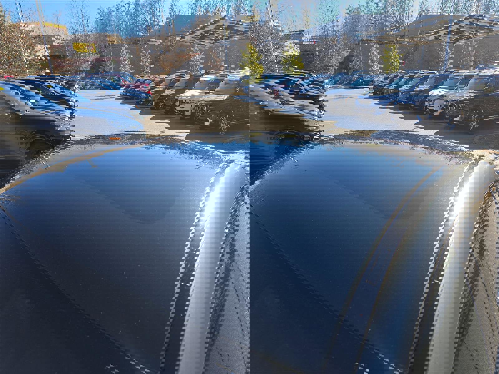 Used 2023 Mercedes-Benz AMG GT 53 image 11