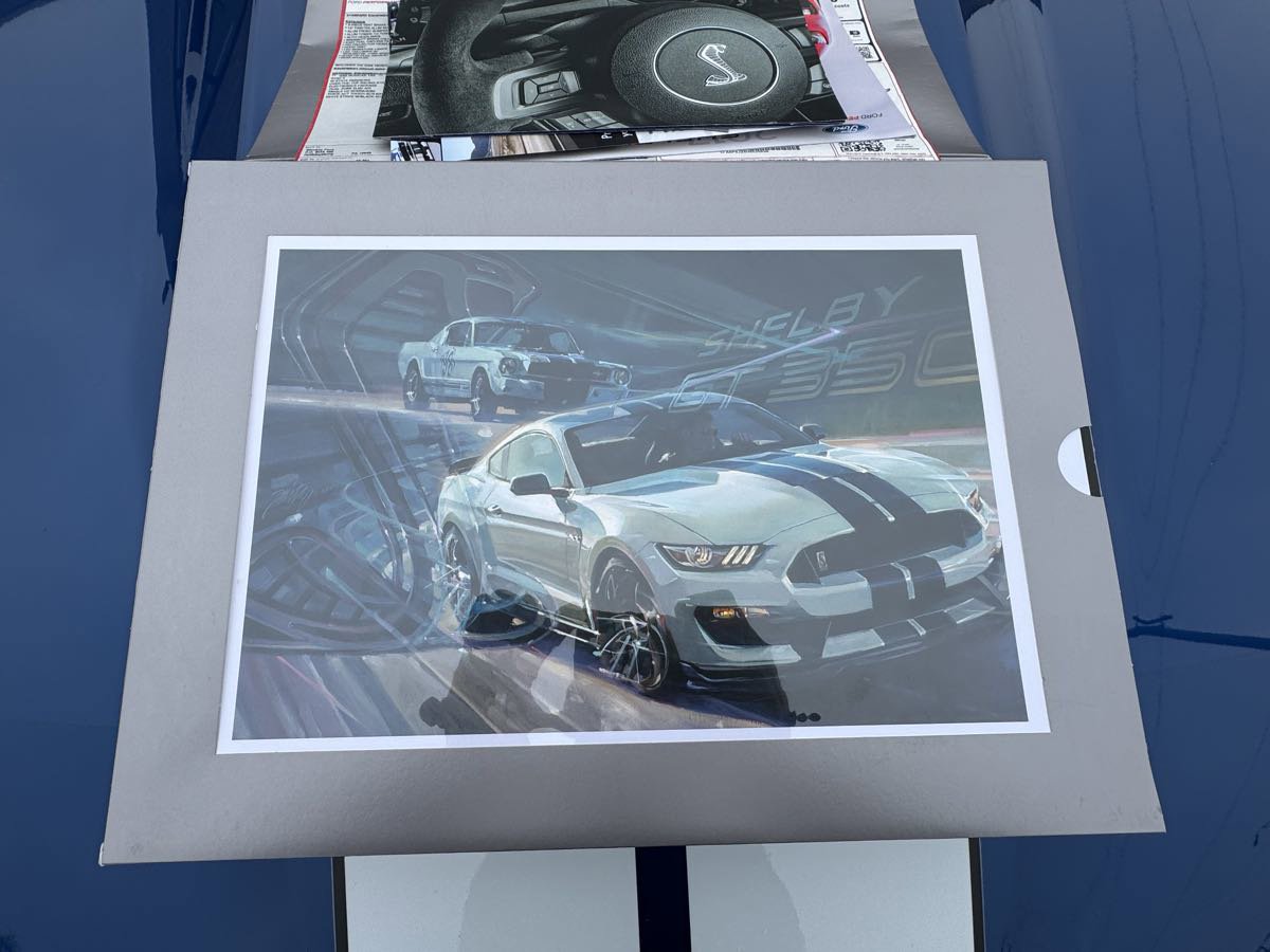 Used 2017 Ford Mustang Shelby GT350 w/ Electronics Package image 51