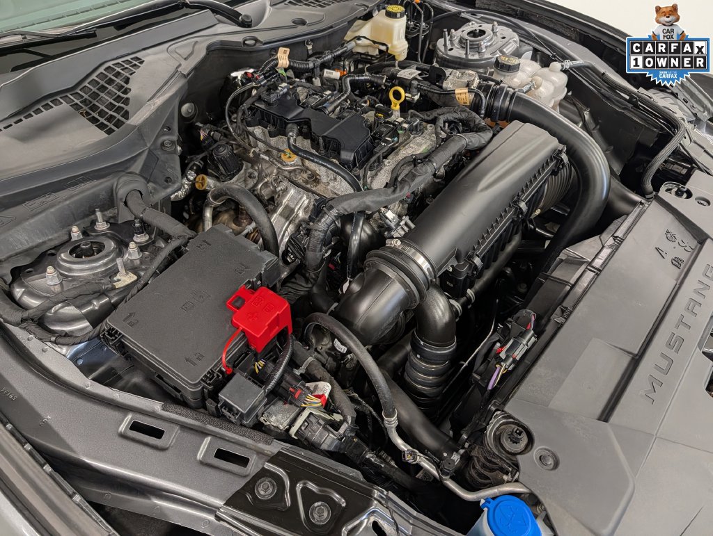 Used 2025 Ford Mustang Coupe RWD image 32