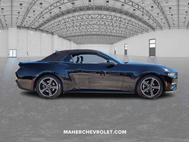 Used 2024 Ford Mustang Premium image 8