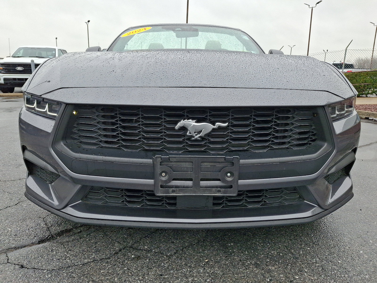 Used 2024 Ford Mustang Premium RWD image 2