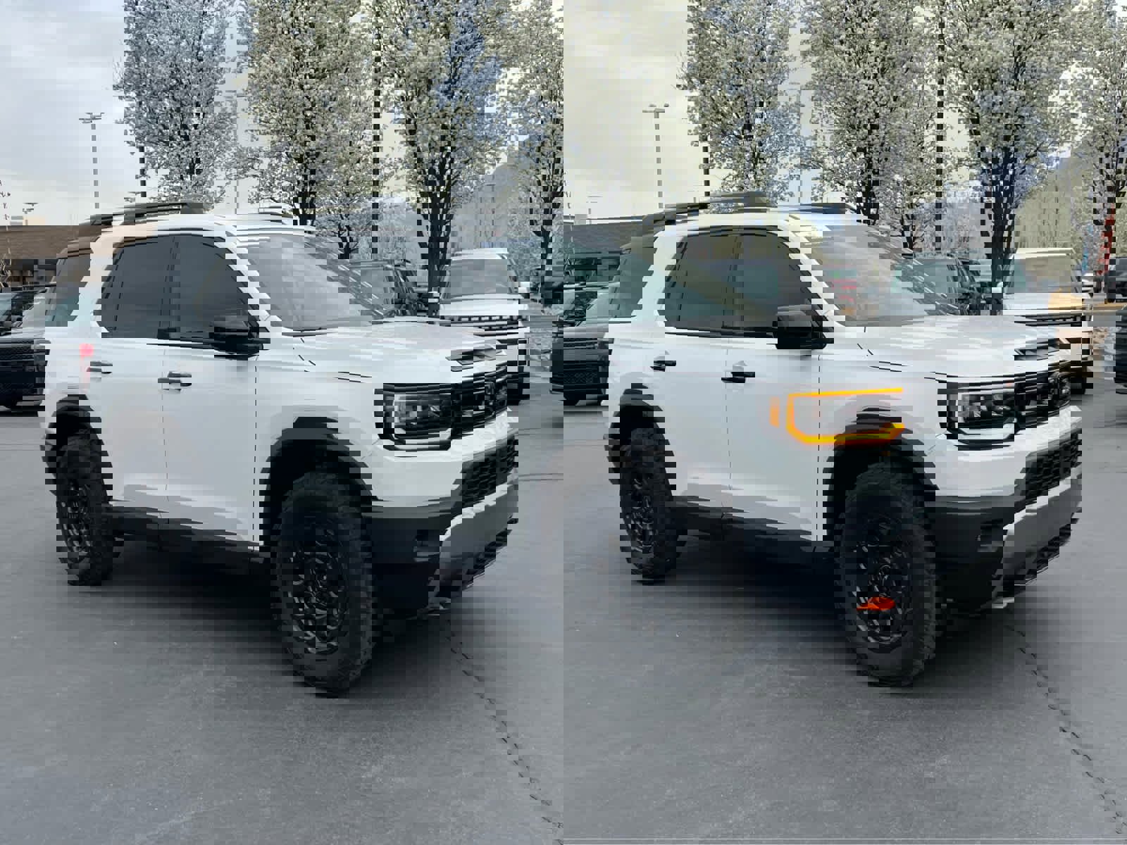 Used 2026 Honda Passport TrailSport Elite image 5