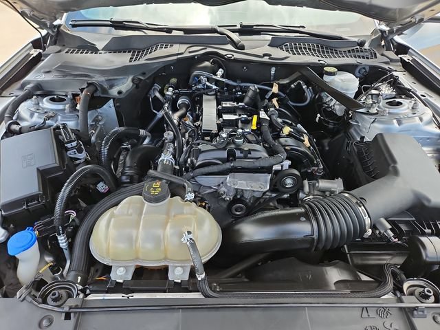 Used 2023 Ford Mustang Premium RWD image 26