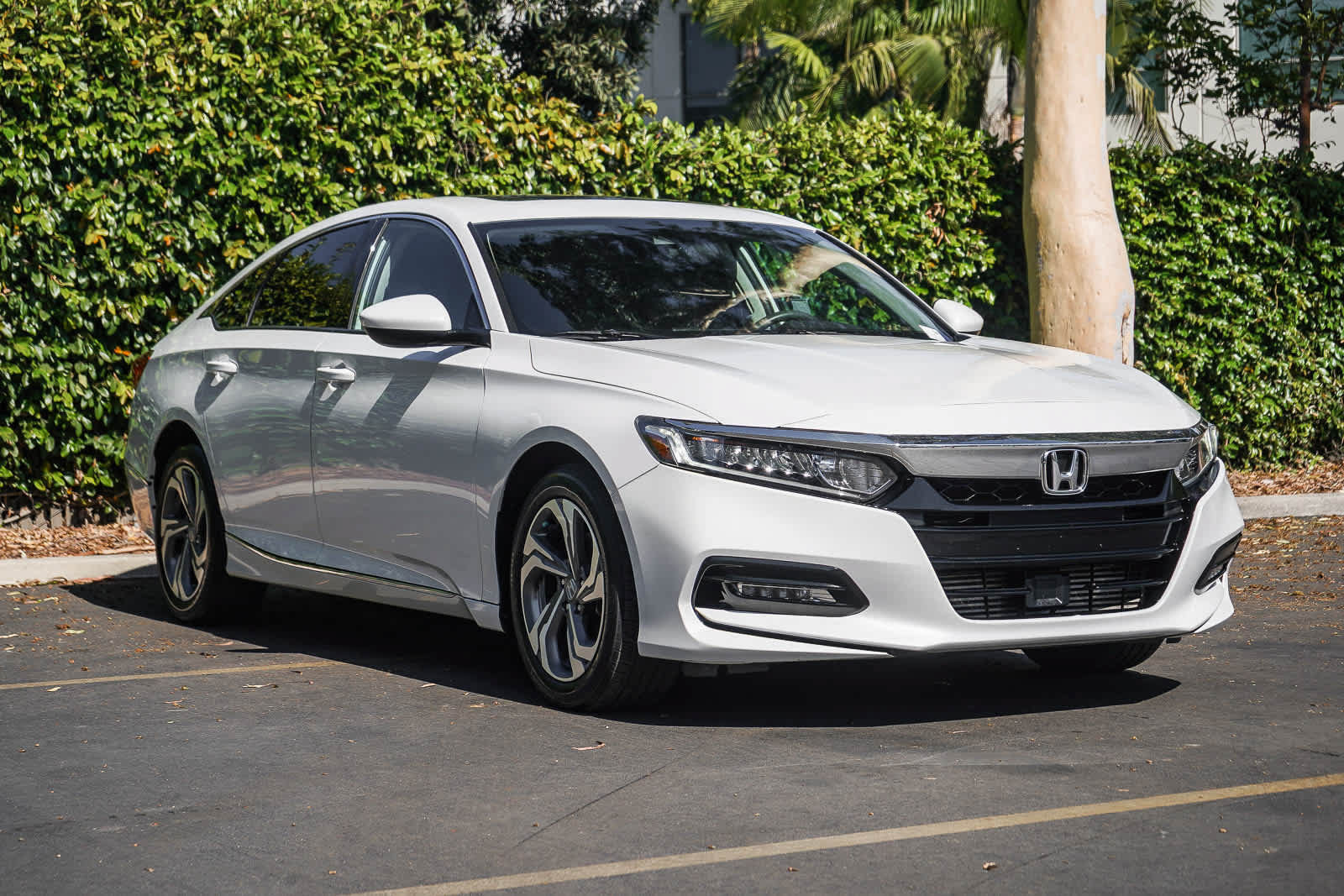 Used 2018 Honda Accord EX image 3
