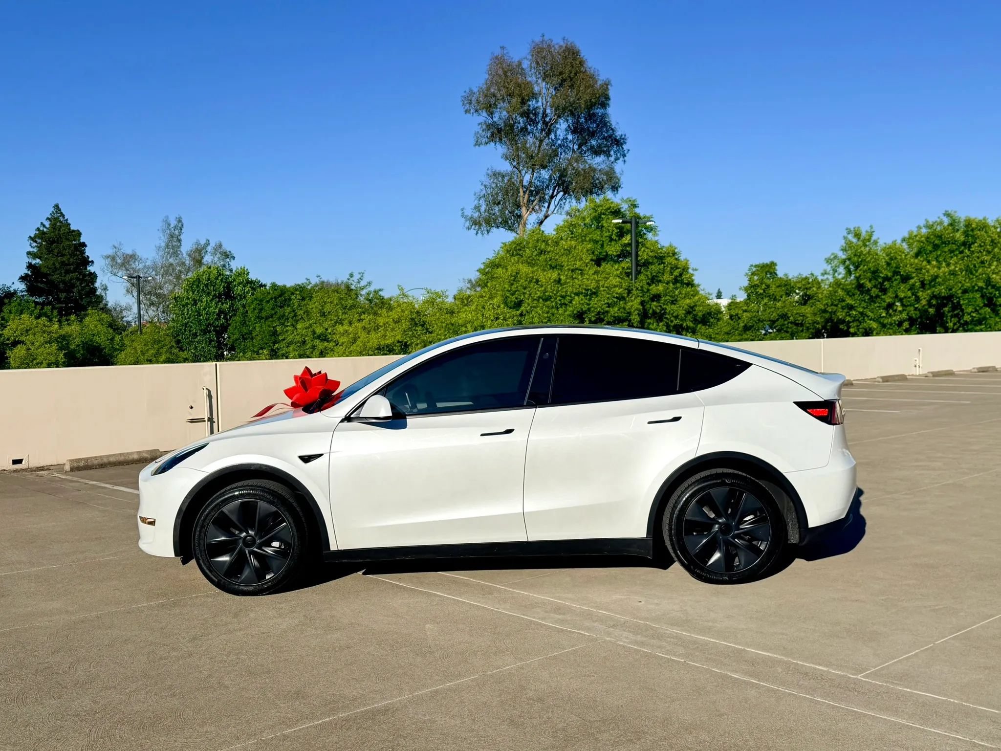 Used 2024 Tesla Model Y Long Range RWD image 4