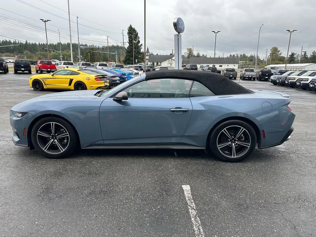 Used 2024 Ford Mustang Premium image 6