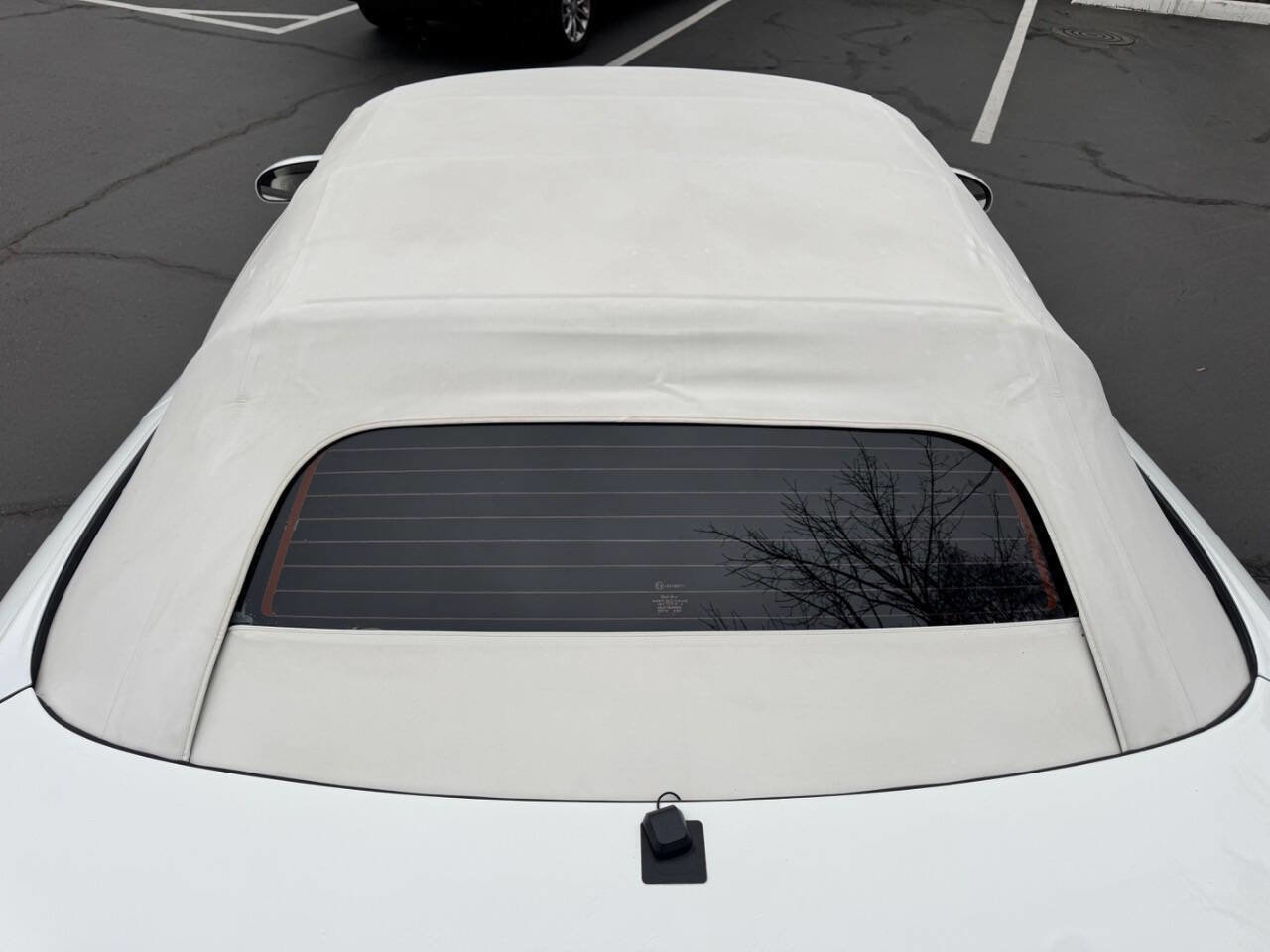 Used 1999 Pontiac Firebird Trans Am image 15