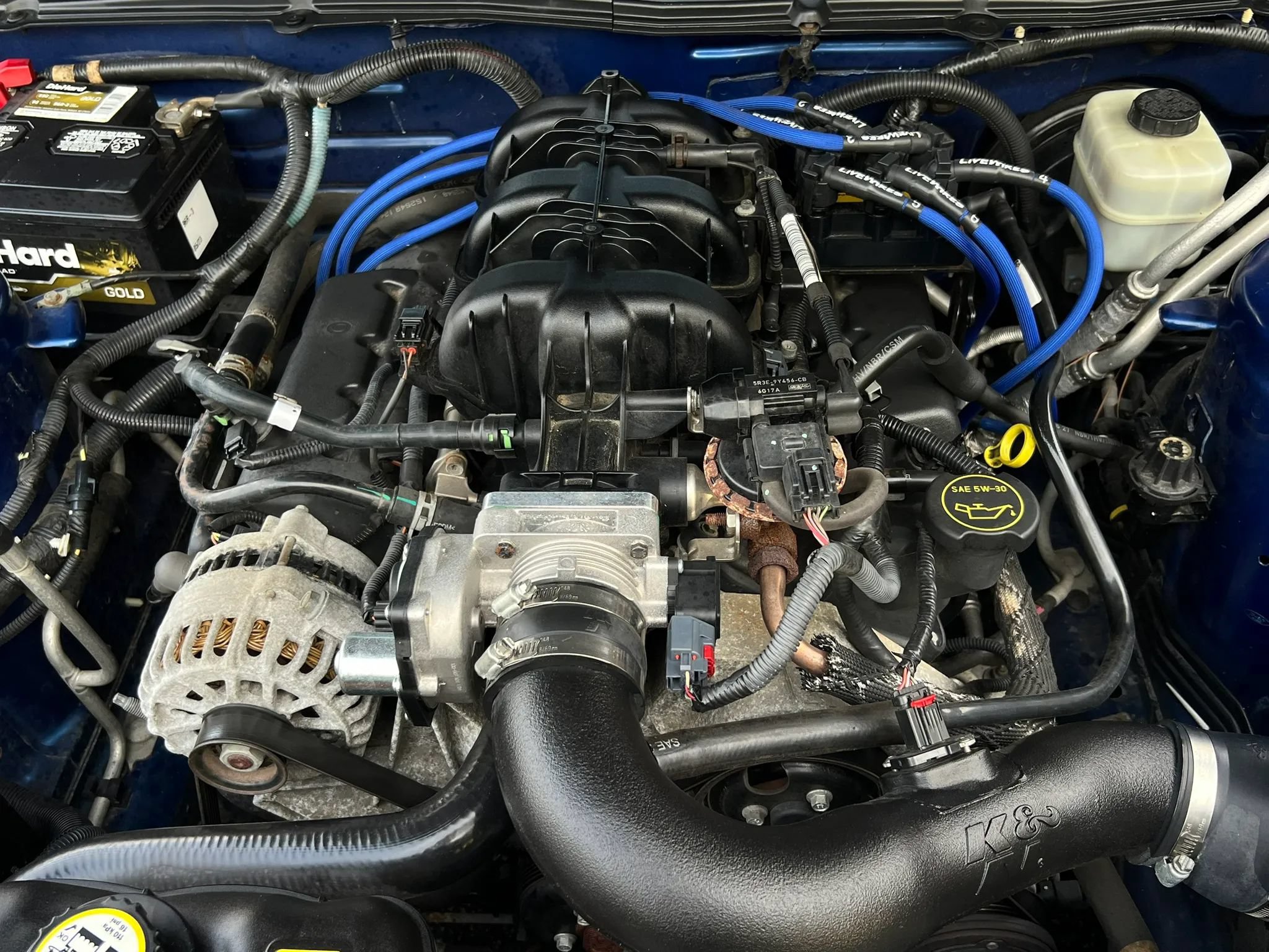 Used 2007 Ford Mustang Coupe RWD image 9