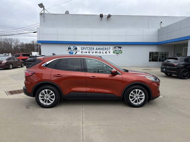 Used 2020 Ford Escape SE image 11