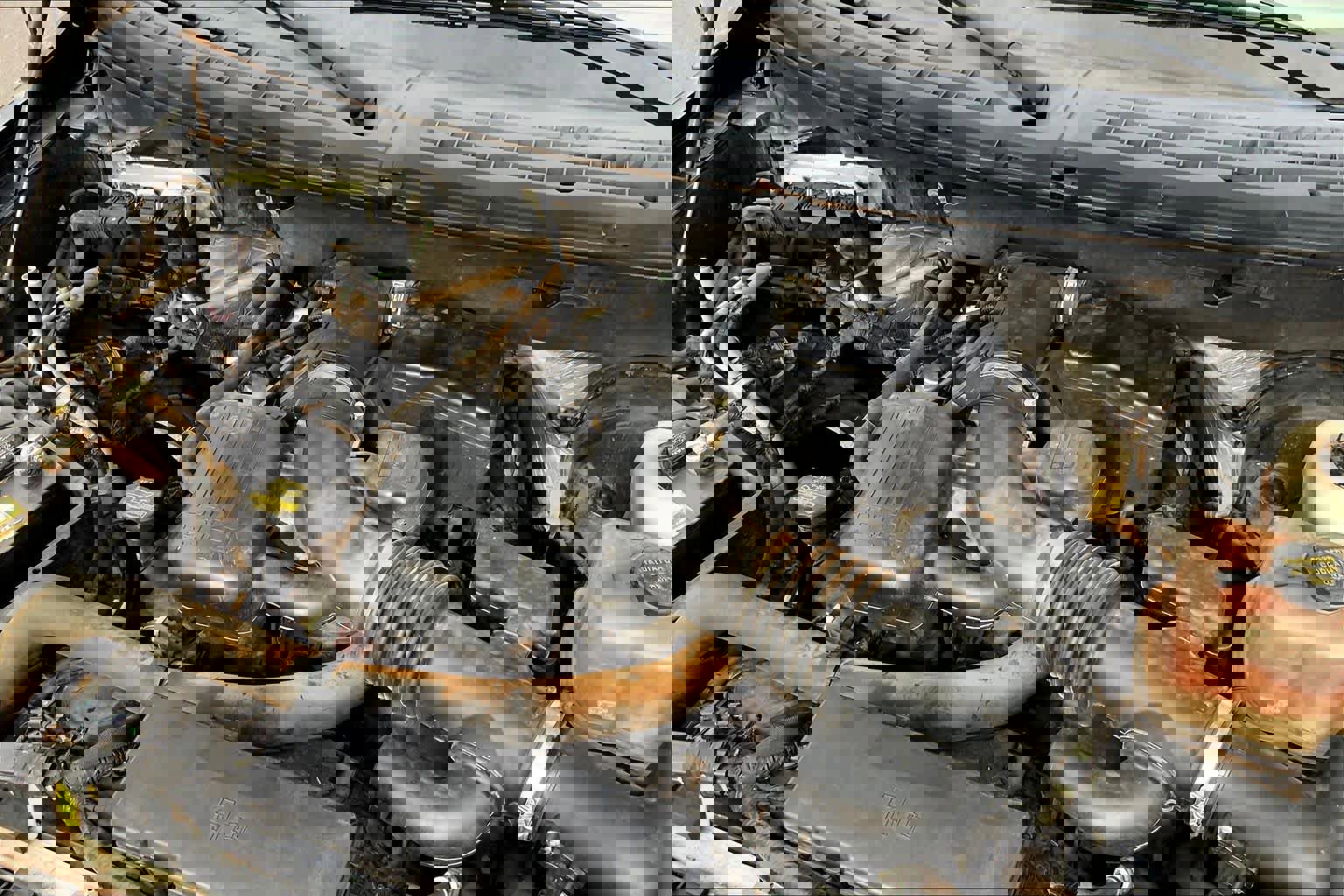 Used 2009 Ford F150 King Ranch image 31