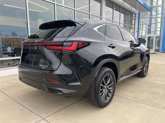 Used 2024 Lexus NX 350h AWD image 4