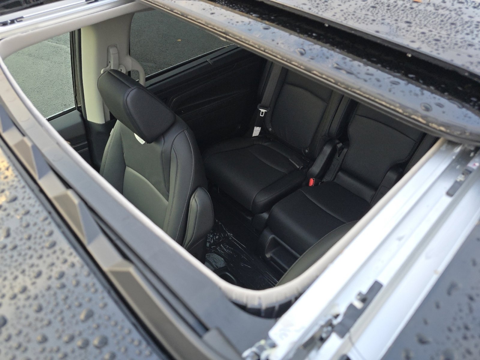 New 2026 Honda Odyssey EX-L image 4