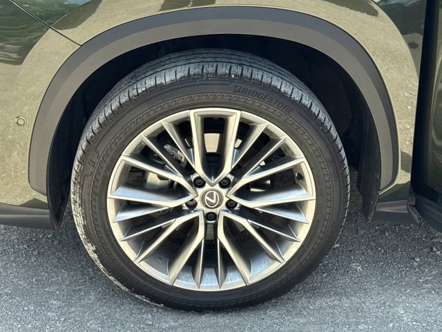 Used 2025 Lexus NX 350 AWD w/ Cold Area Package image 25