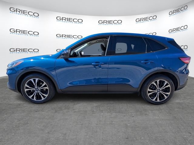 Used 2022 Ford Escape SE w/ SE Sport Appearance Package image 4