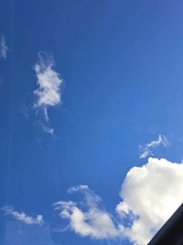 New 2026 Toyota Prius XLE image 13