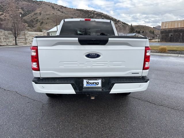 Used 2023 Ford F150 XL w/ STX Appearance Package image 6