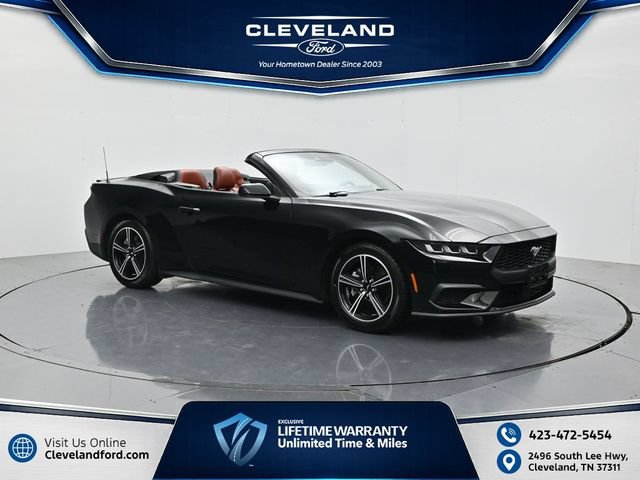 Used 2024 Ford Mustang Premium