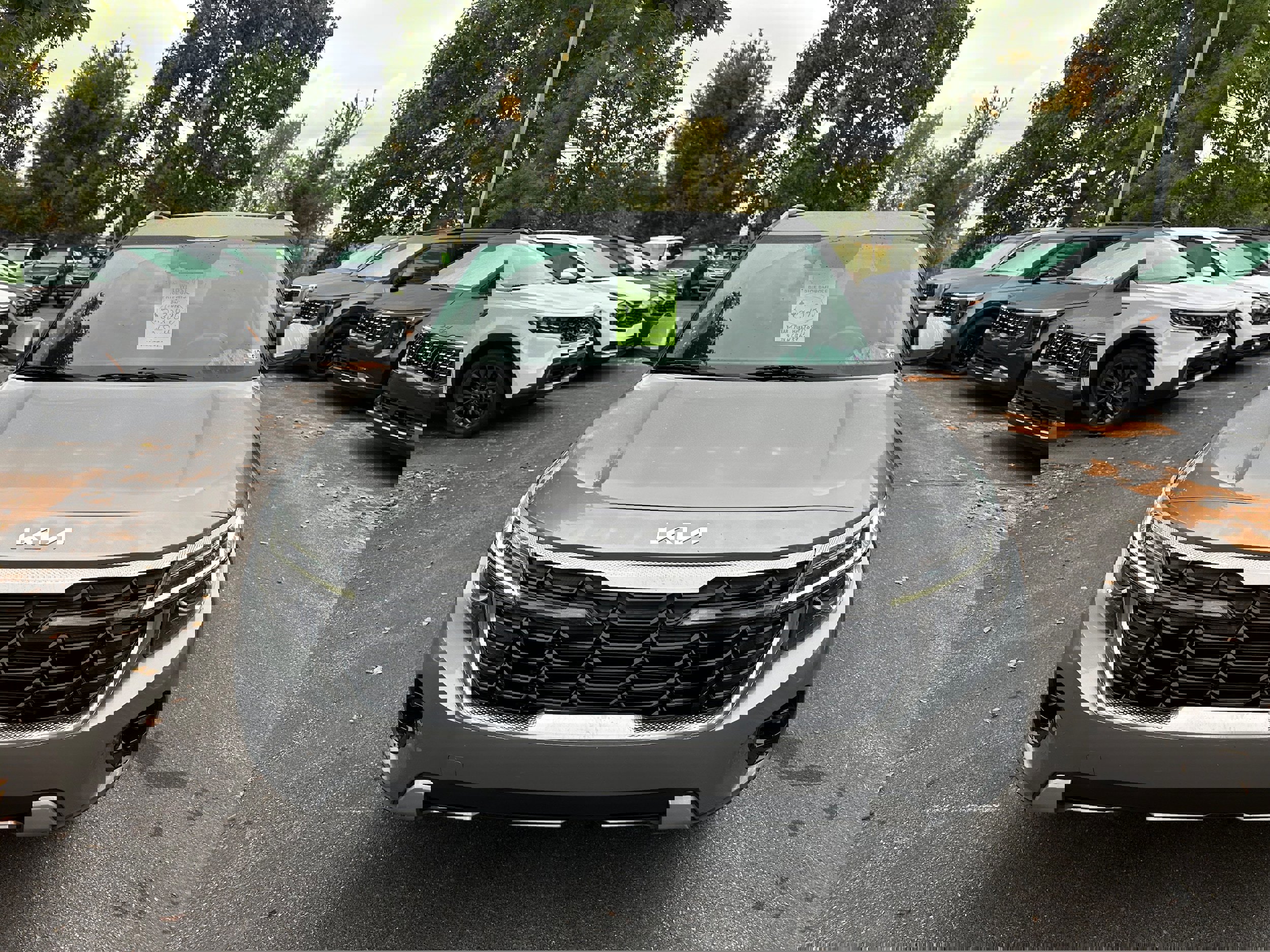 Used 2024 Kia Seltos S image 2