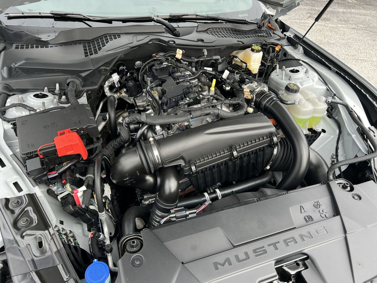 New 2026 Ford Mustang Coupe RWD image 25
