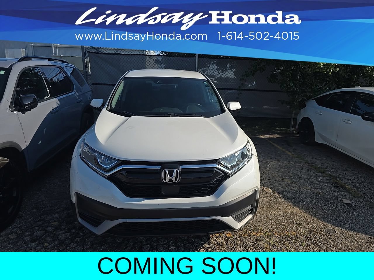 Used 2021 Honda CR-V Special Edition image 2