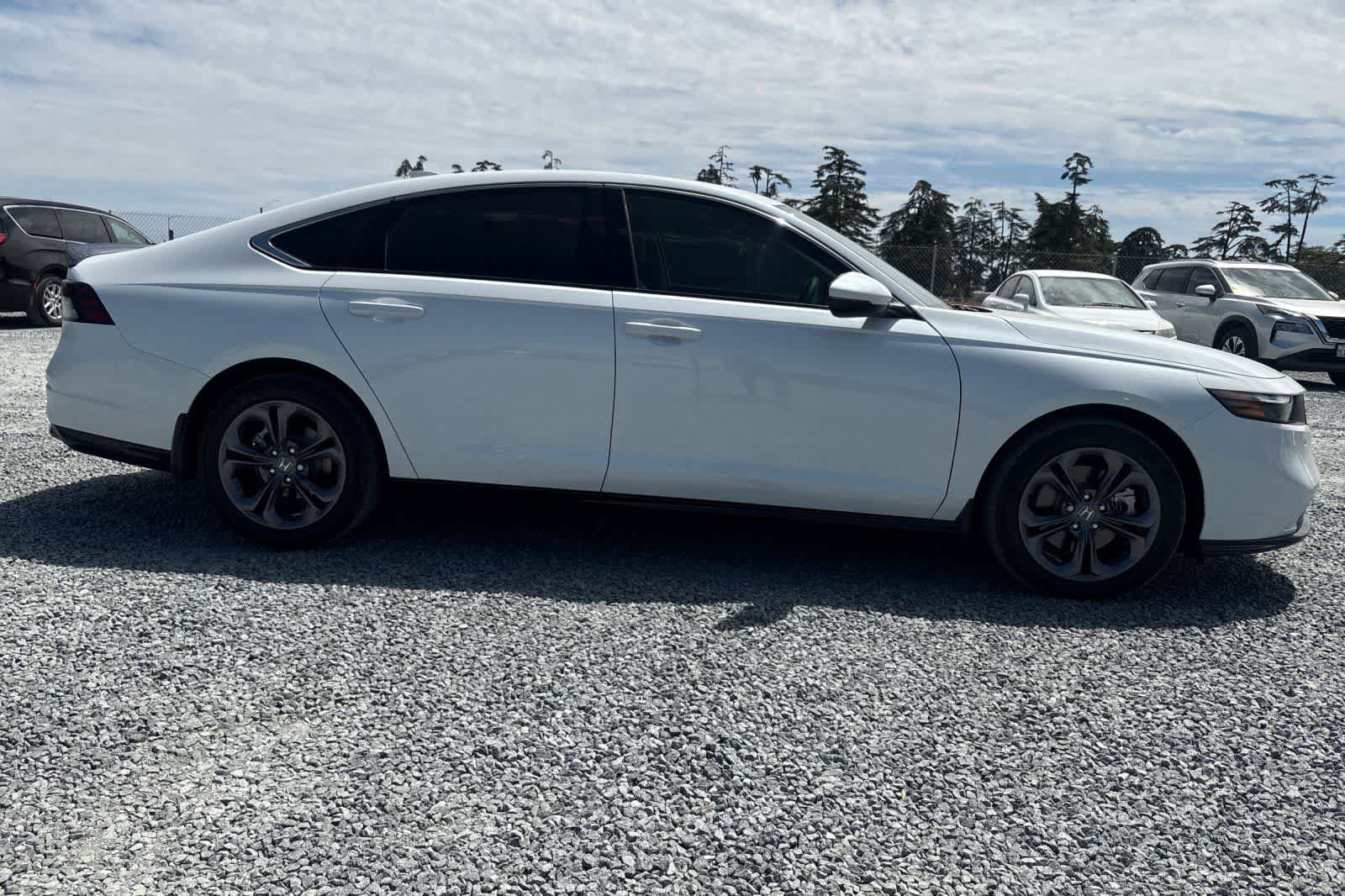 Used 2024 Honda Accord EX-L image 9