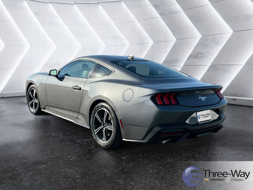 Used 2024 Ford Mustang Coupe image 3
