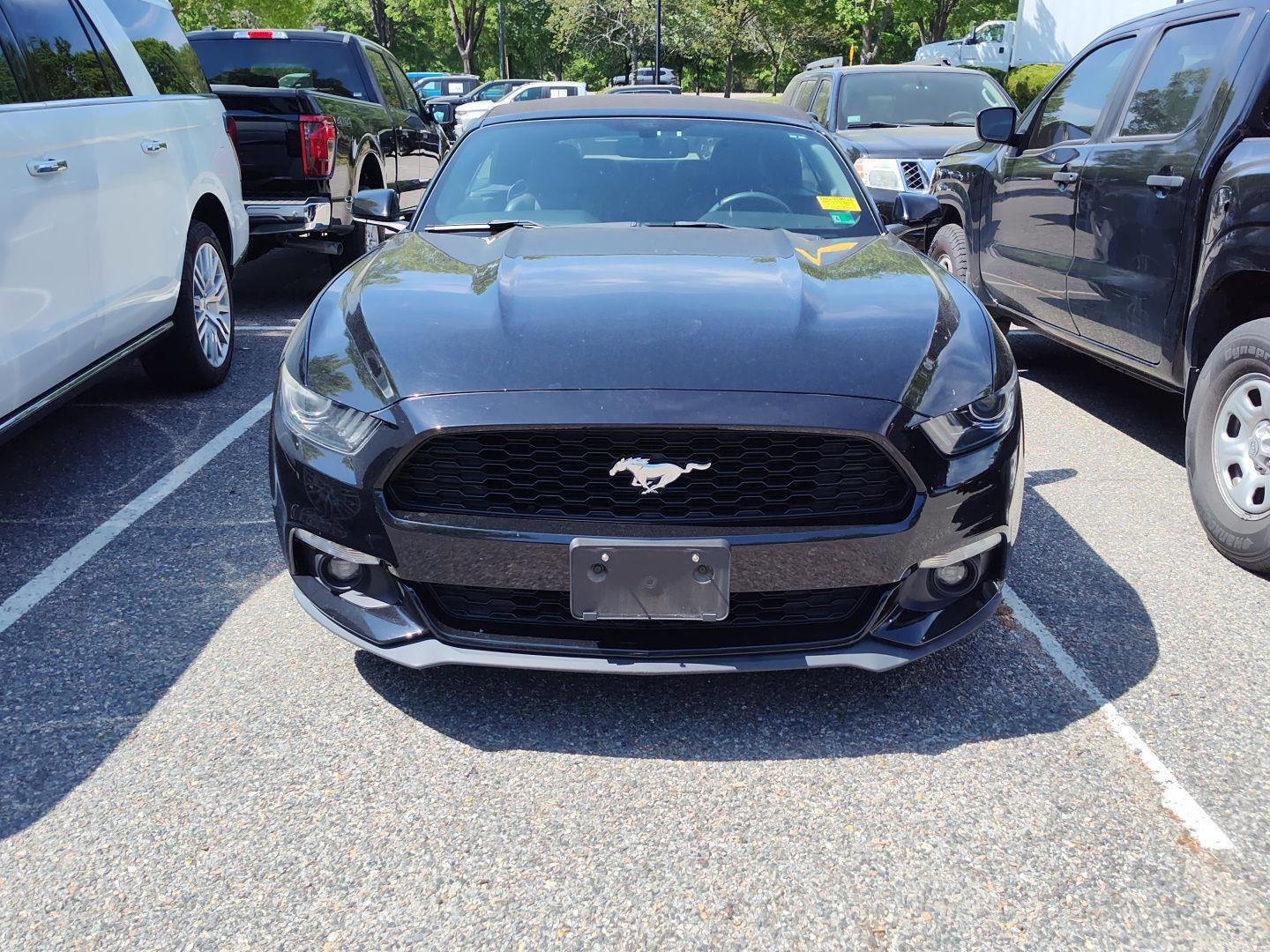 Used 2016 Ford Mustang Premium image 2