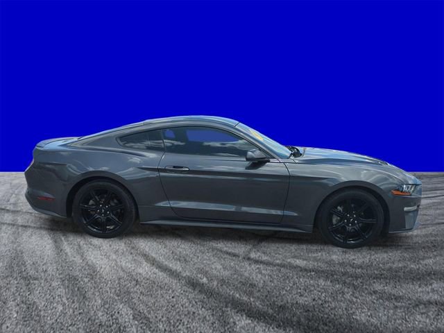 Certified 2019 Ford Mustang Coupe w/ Black Accent Package RWD image 3
