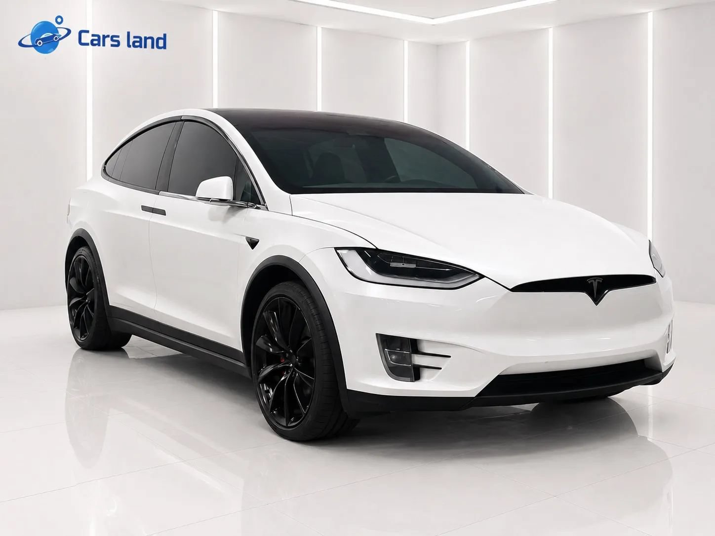 Used 2019 Tesla Model X Performance AWD/4WD image 1