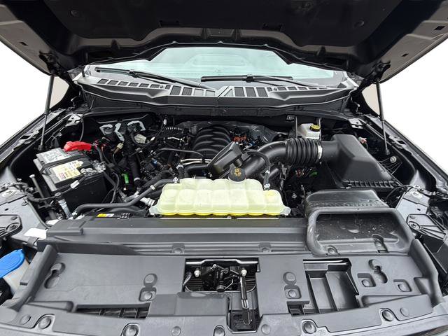 Used 2025 Ford F150 XLT w/ Equipment Group 301A Standard image 11