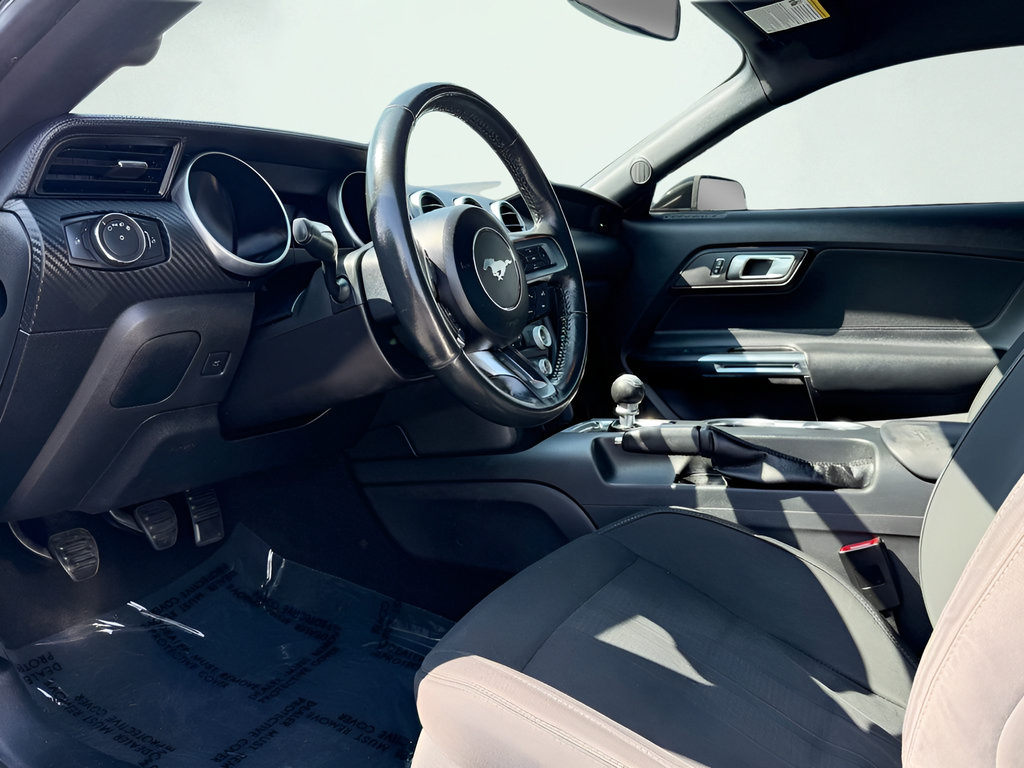 Used 2019 Ford Mustang Coupe RWD image 2