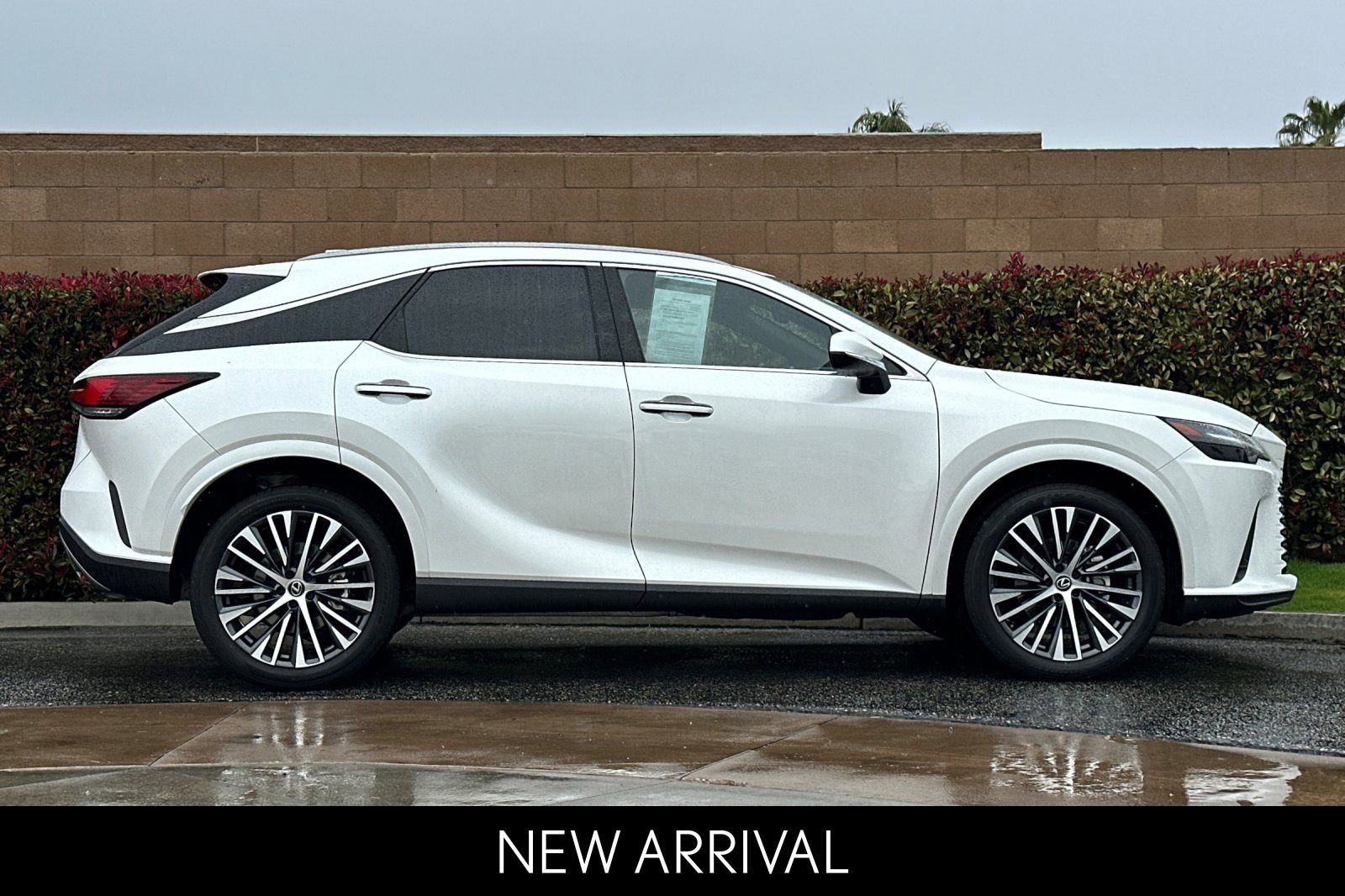 Certified 2023 Lexus RX 350 Premium Plus w/ Cold Area Package image 3