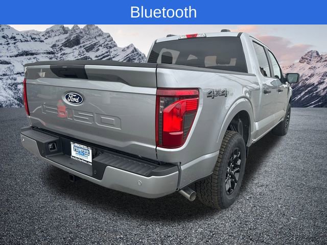 New 2025 Ford F150 STX image 3