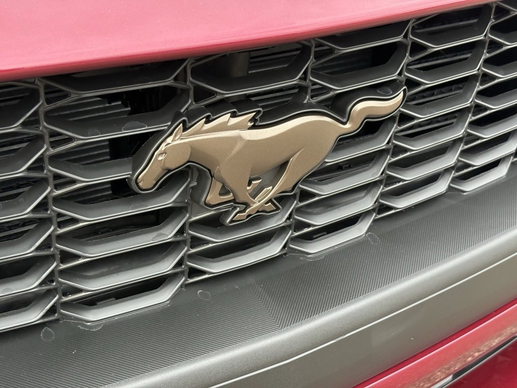 New 2026 Ford Mustang EcoBoost w/ Bronze Appearance Package image 9