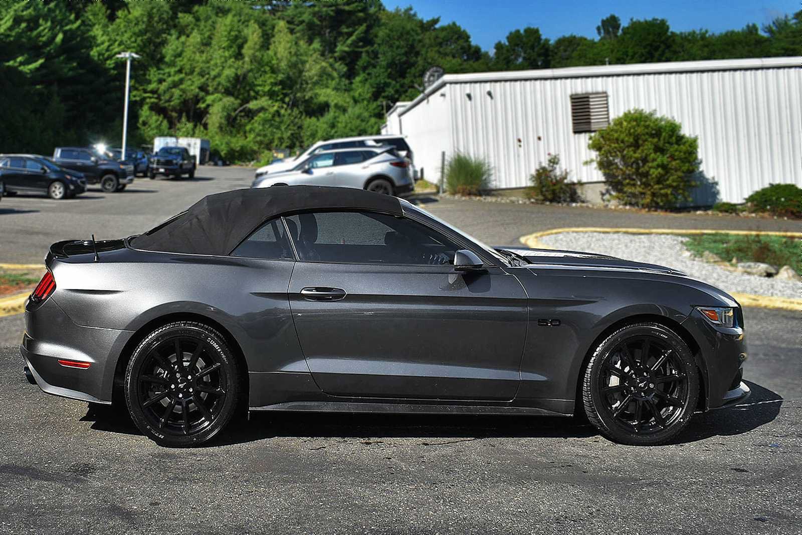 Used 2016 Ford Mustang GT Premium w/ Equipment Group 401A RWD image 8