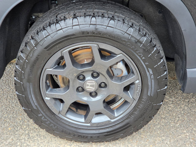 Certified 2025 Honda Pilot TrailSport image 14