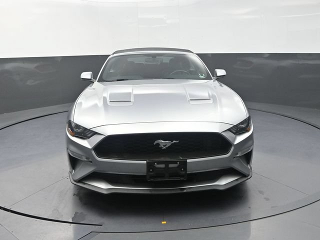 Used 2020 Ford Mustang Premium RWD image 4