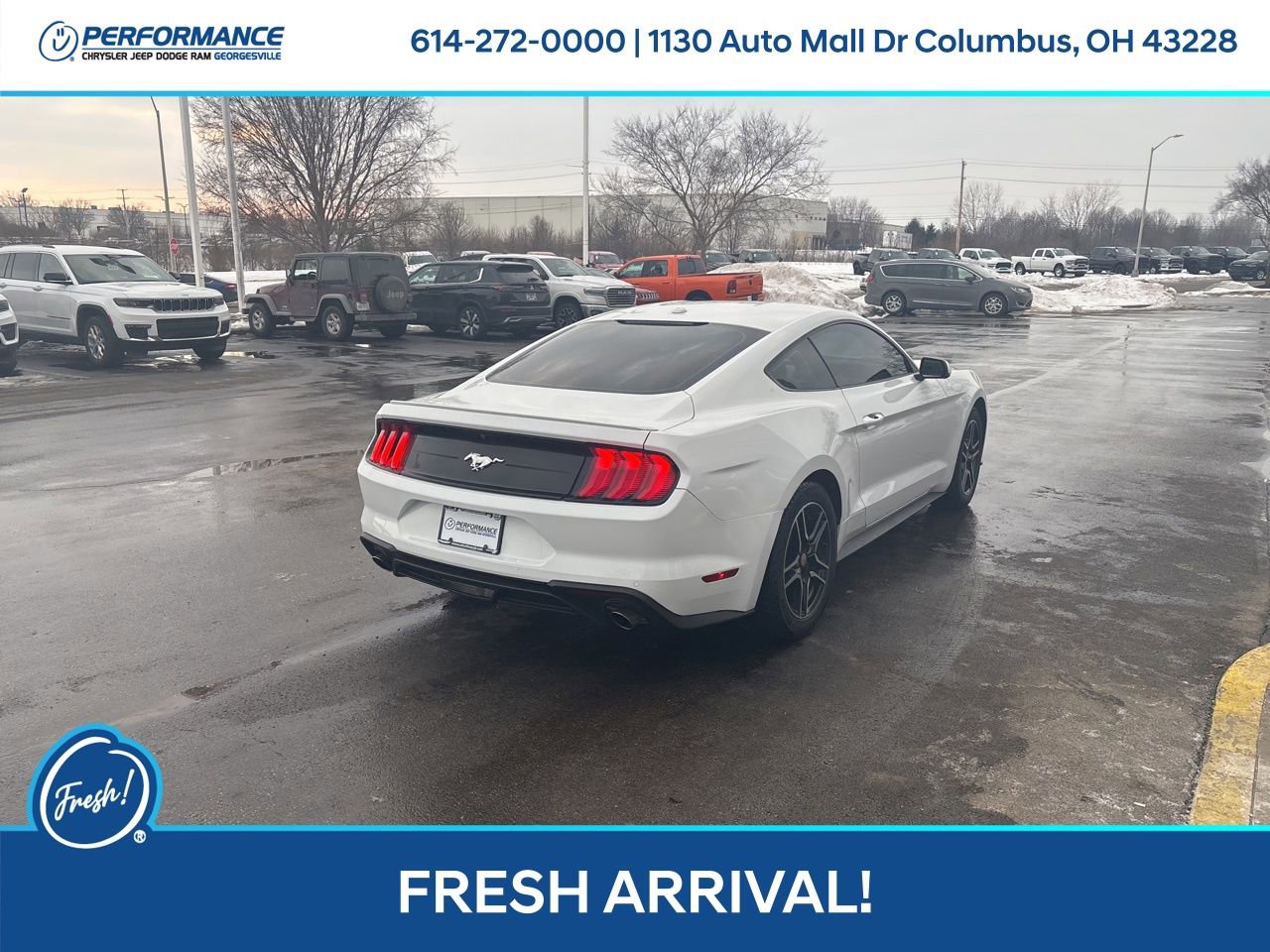 Used 2019 Ford Mustang Premium image 4
