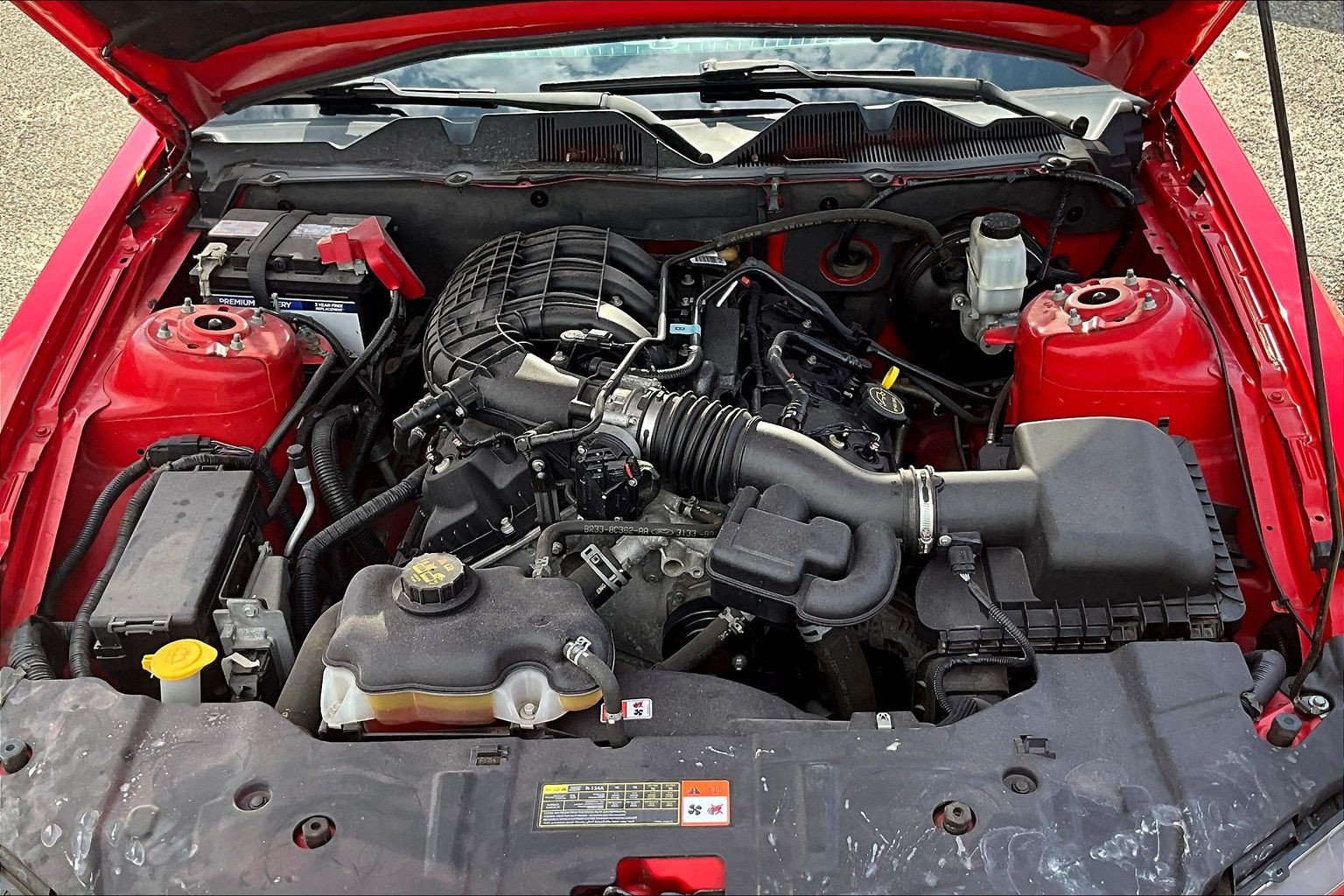 Used 2014 Ford Mustang Premium w/ Equipment Group 203A RWD image 9