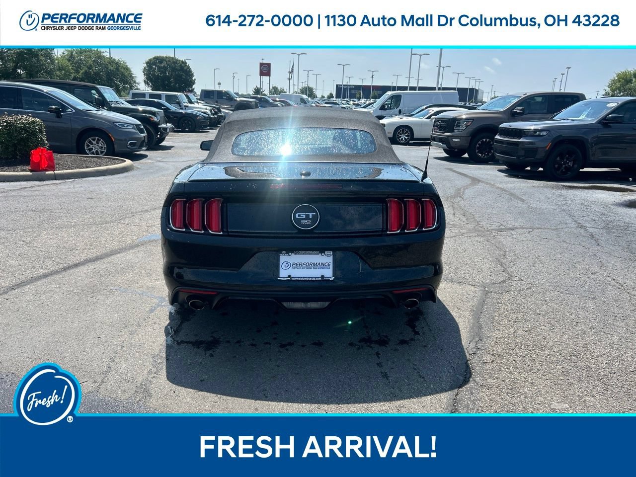 Used 2015 Ford Mustang GT Premium w/ Equipment Group 401A RWD image 5
