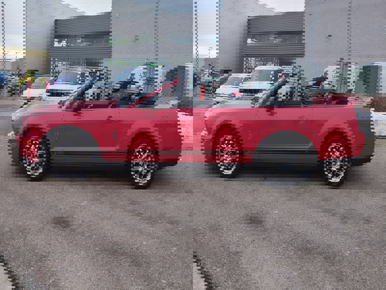 Used 2008 Ford Mustang Shelby GT500 image 5