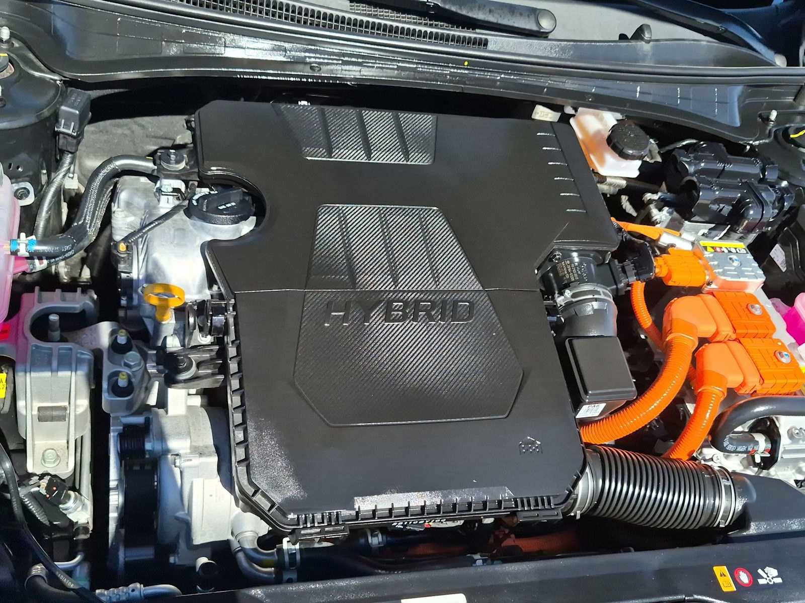 Certified 2025 Hyundai Elantra SEL FWD image 14