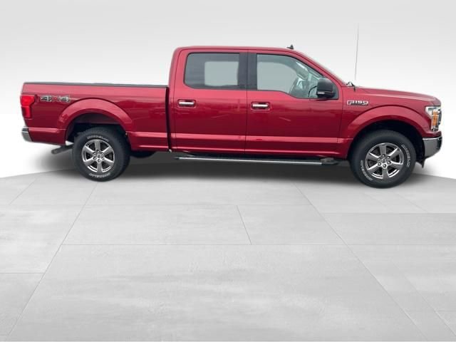 Used 2019 Ford F150 XLT w/ Equipment Group 302A Luxury image 4