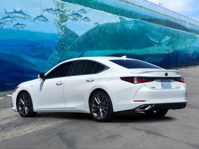 Used 2019 Lexus ES 350 F Sport w/ Accessory Package 2 FWD video 2