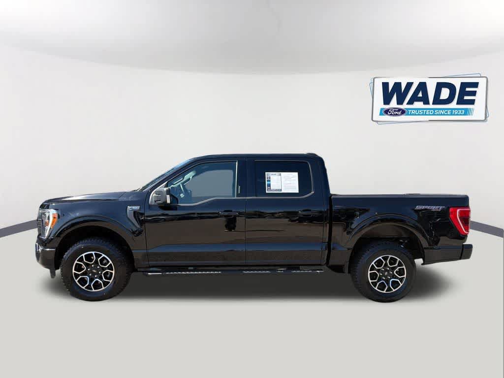 Used 2023 Ford F150 XLT w/ Equipment Group 302A High AWD/4WD image 8
