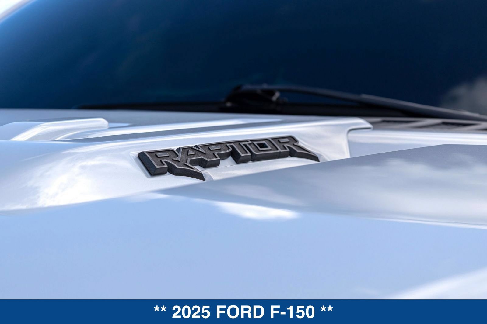 Used 2025 Ford F150 Raptor AWD/4WD image 14