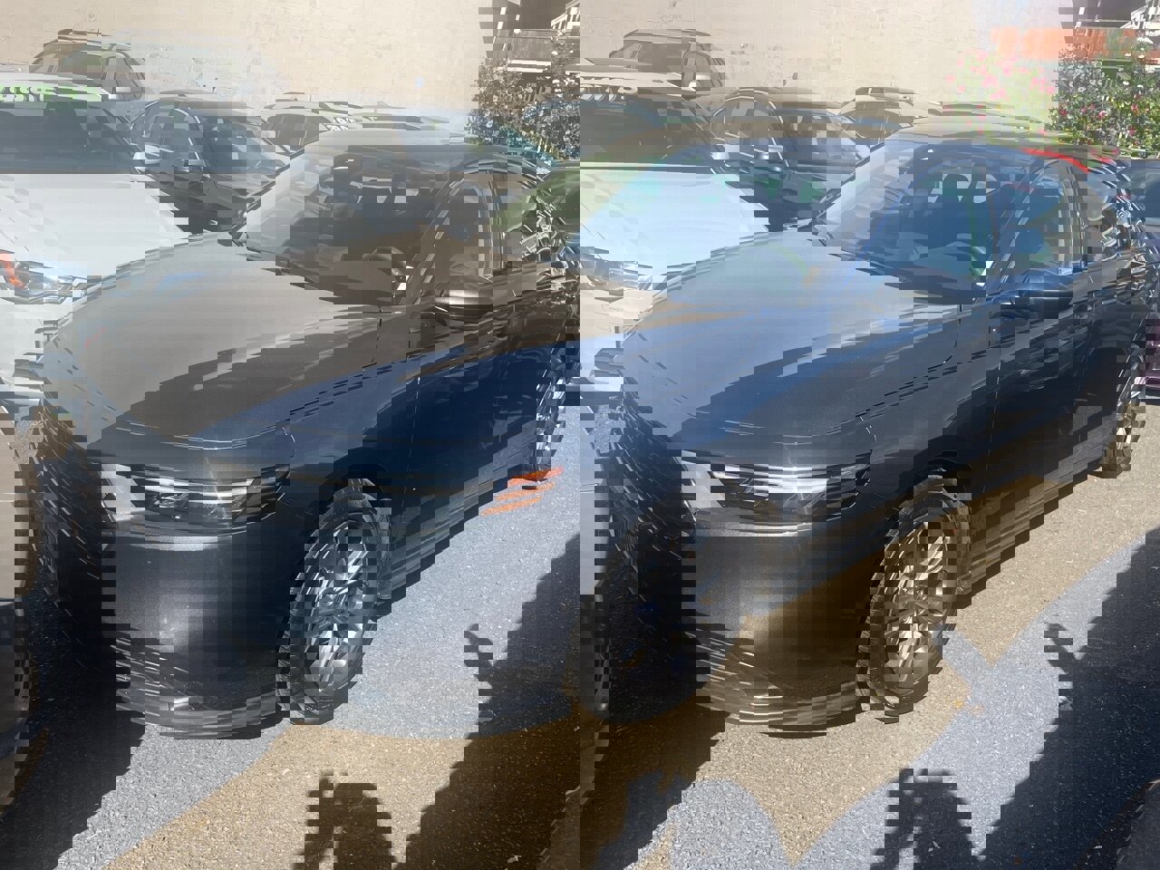 Used 2023 Honda Accord EX image 1