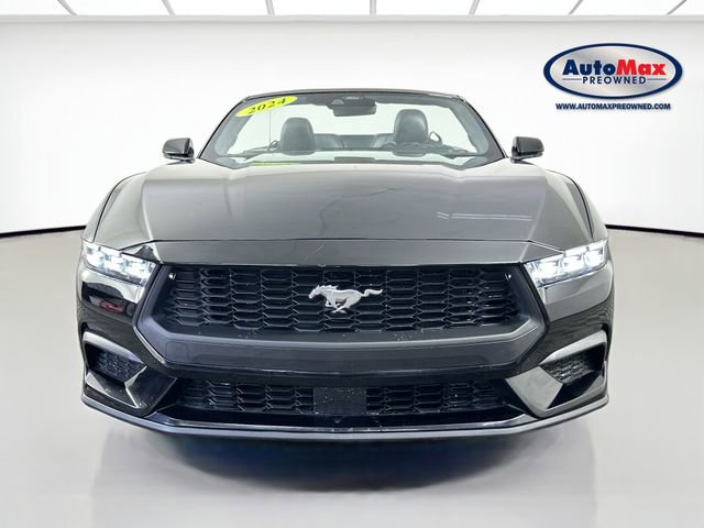 Used 2024 Ford Mustang Premium RWD image 6