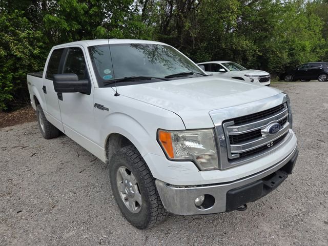 Used 2013 Ford F150 XLT AWD/4WD image 3